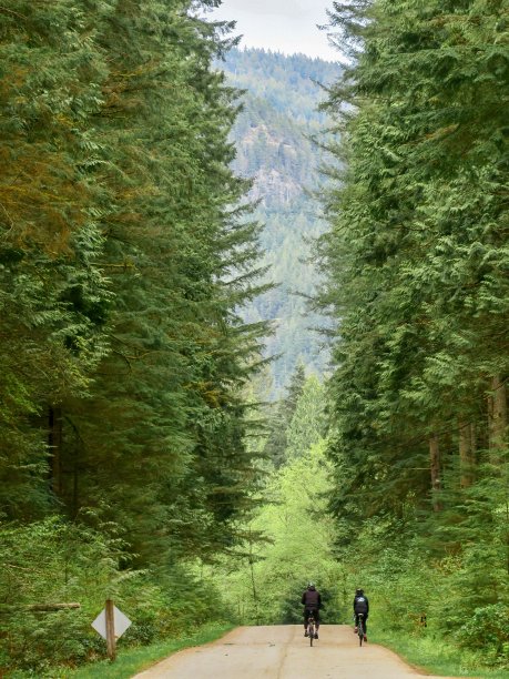 pemberton