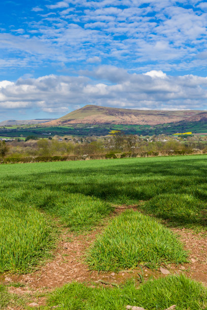 powys