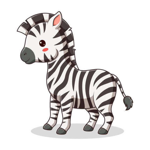 zebra