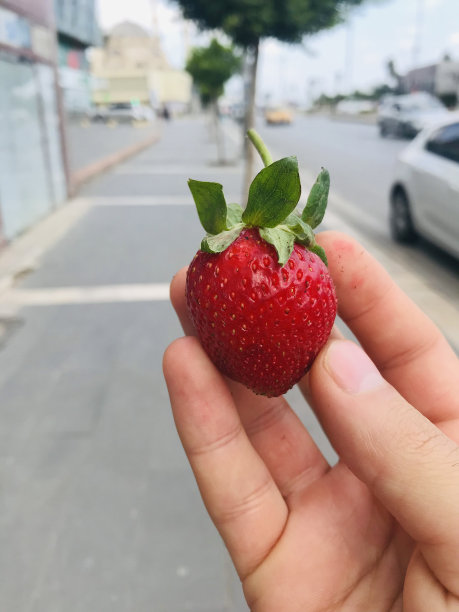 新摘的草莓