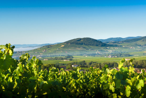 rhone