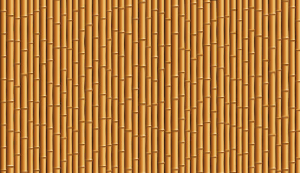 bamboo