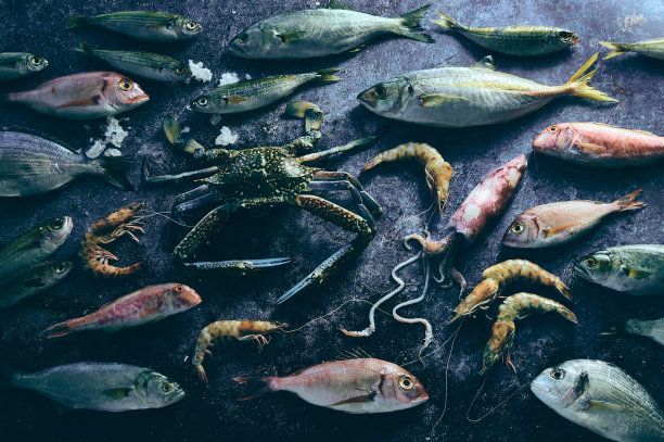 鱿鱼串