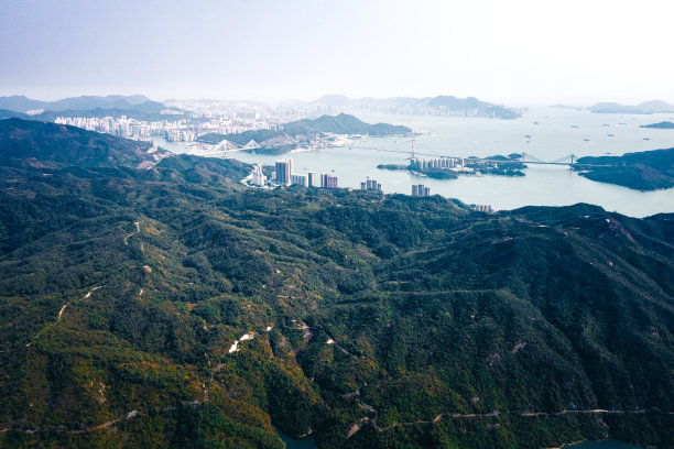 香港绿色背景