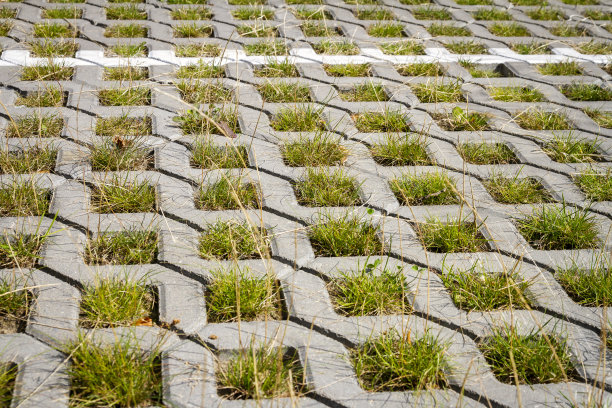 pavement