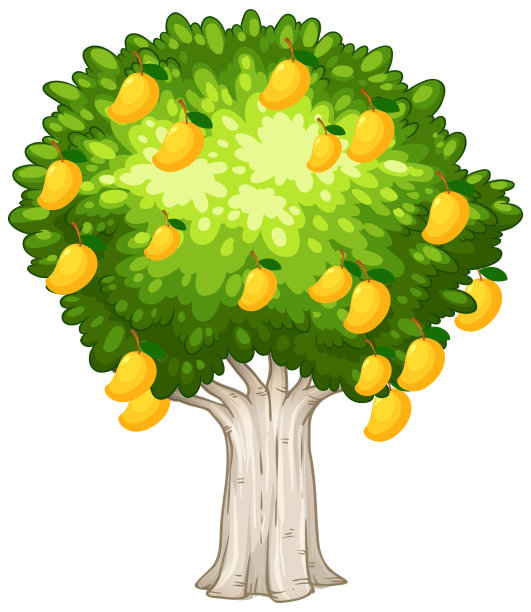 mango