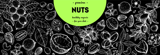 坚果插画包装