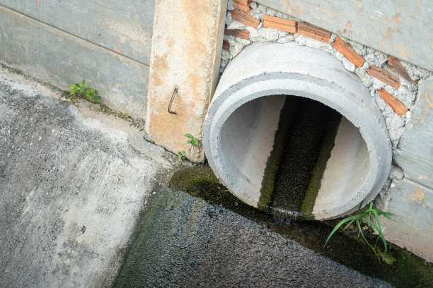 ditch