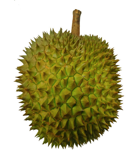 durian
