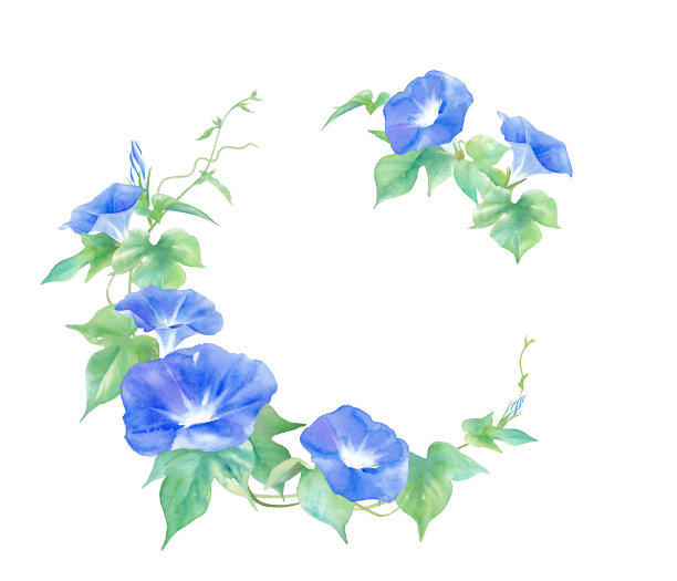 精美紫色绿色圆形花纹图案