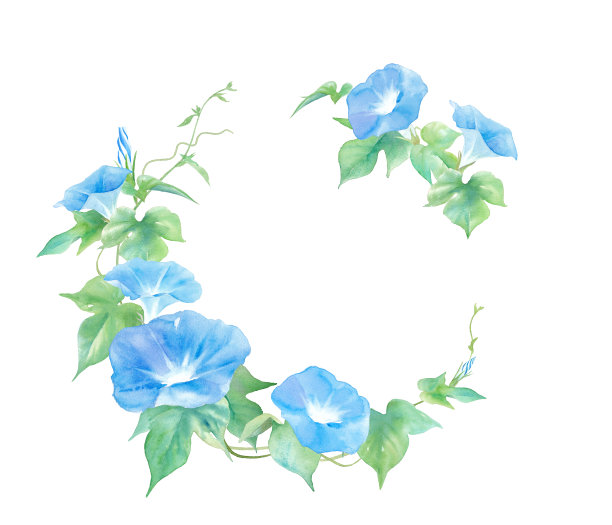 精美紫色绿色圆形花纹图案