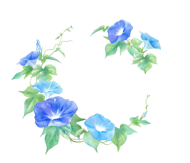 精美紫色绿色圆形花纹图案