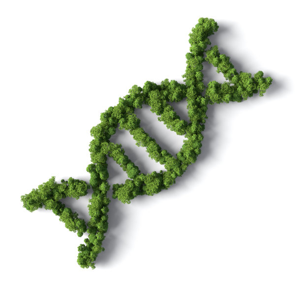 bio
