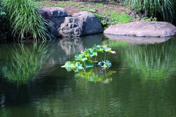 ponds