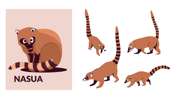 coatimundi
