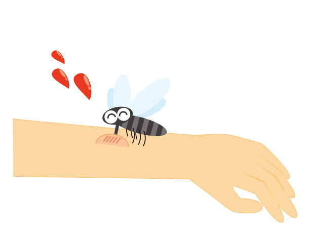 mosquito