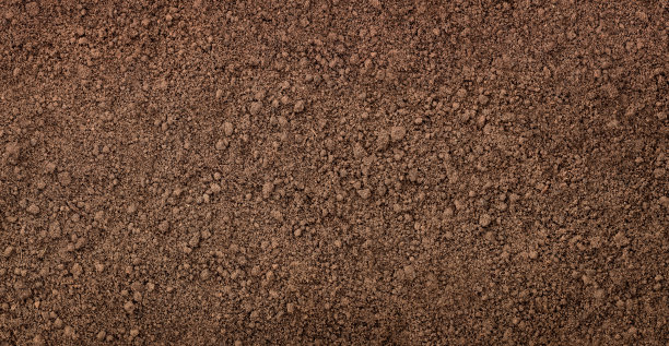 dirt