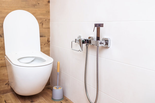 bidet