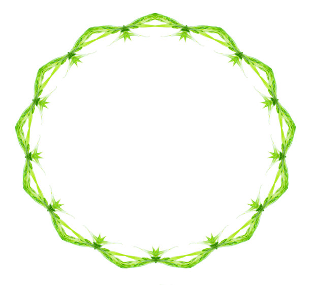 绿色精美圆形花纹图案