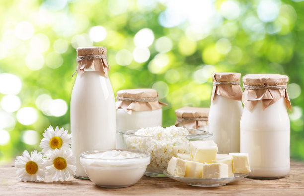 dairy