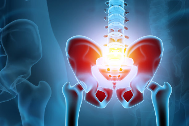 pelvis