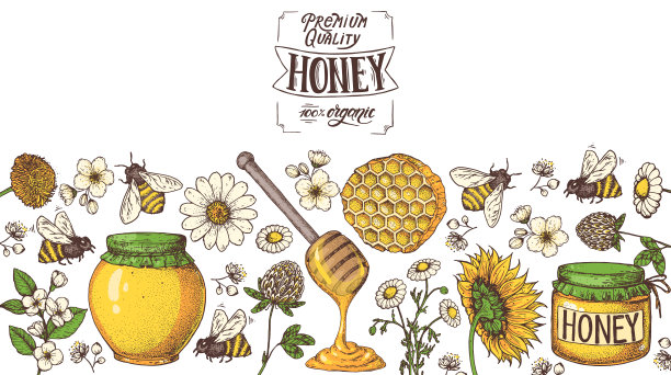 蜂蜜插画包装