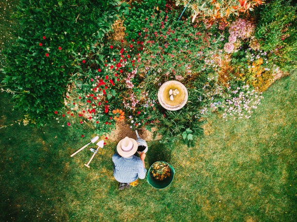 horticulture