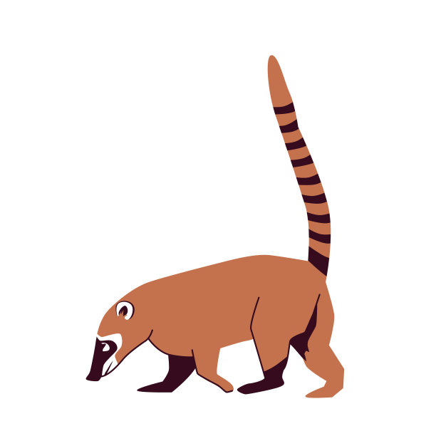 coatimundi