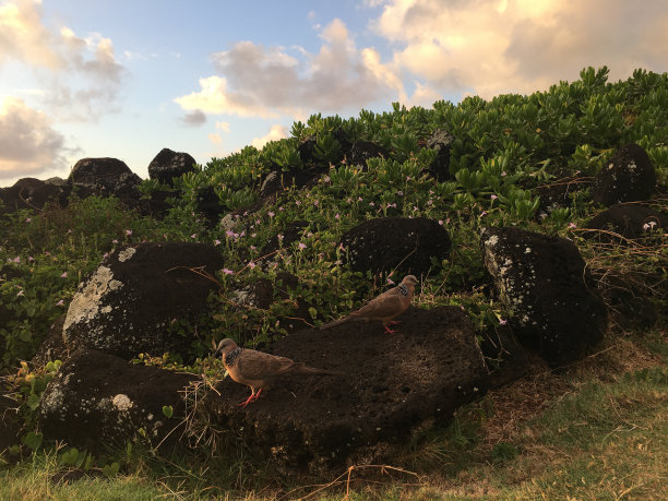 kauai