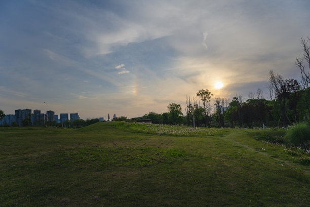 户外蓝天白云草地树林图片