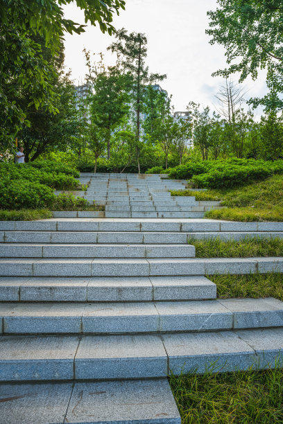 steps