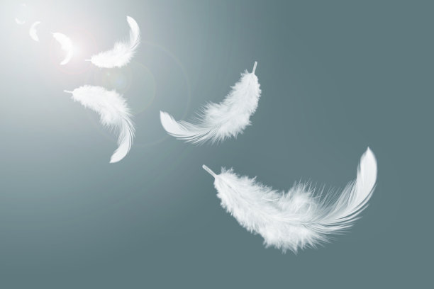 plumage