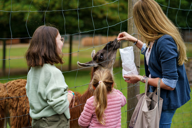 zoo