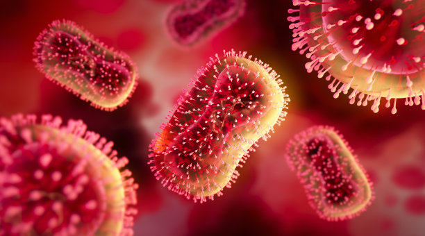 coronavirus