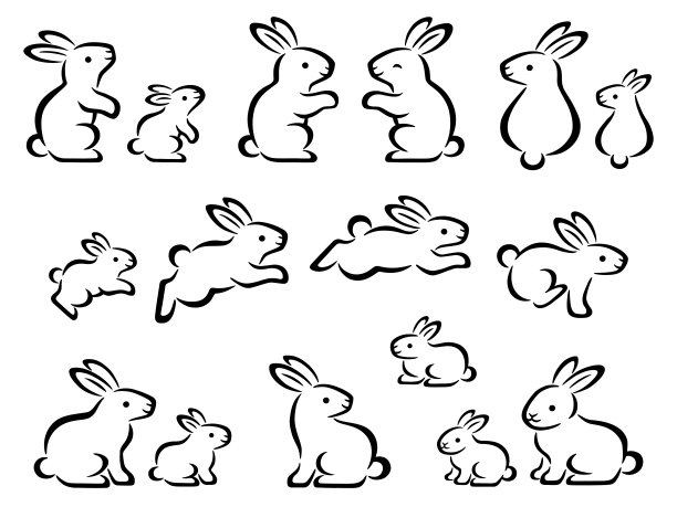 bunny