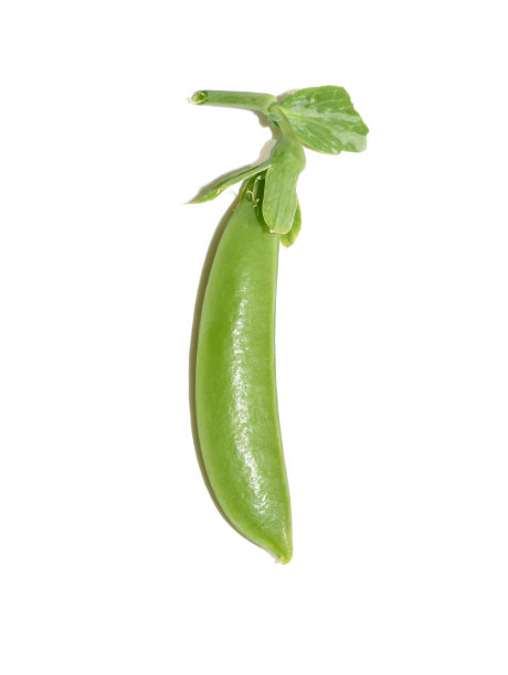pod