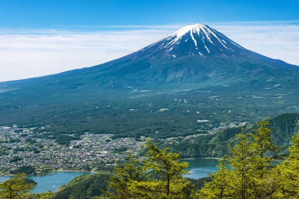 fuji