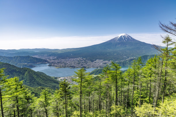 fuji