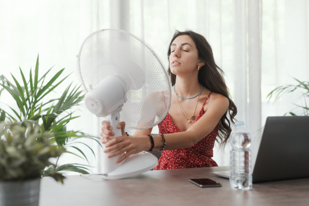 fan