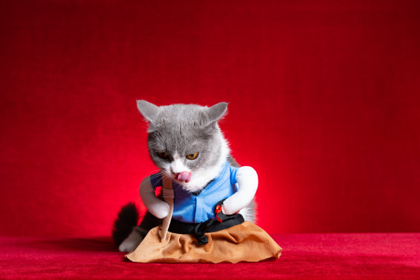 cosplay