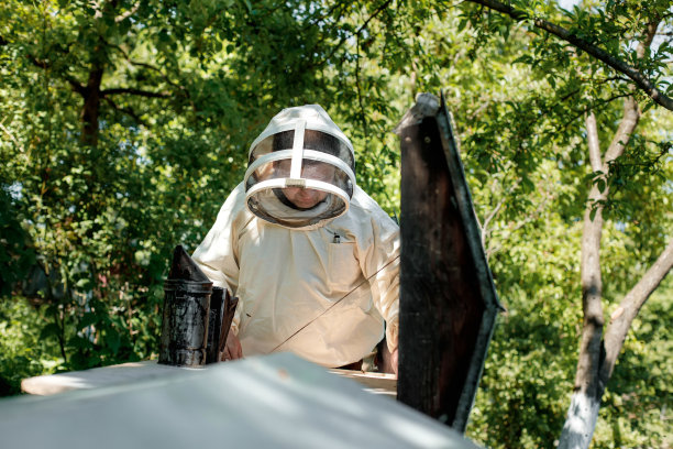 beekeeper