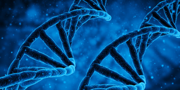 bio