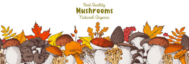 mushrooms