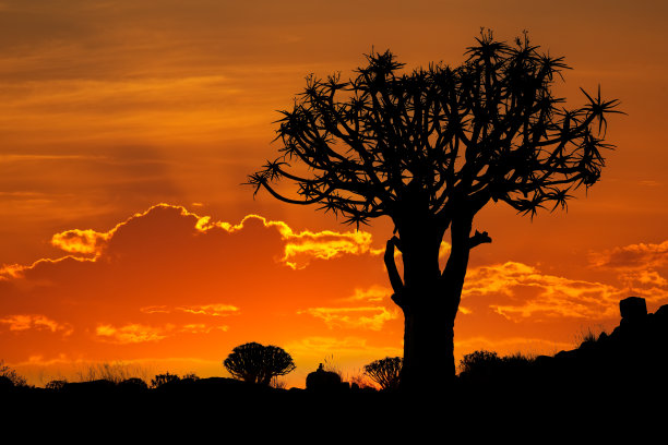 namibia