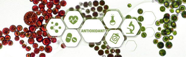 antioxidant