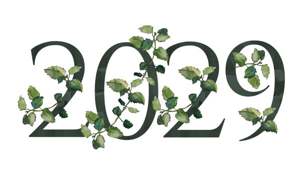 2029