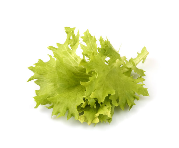 蔬菜,清新,背景分离