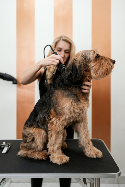 airedale
