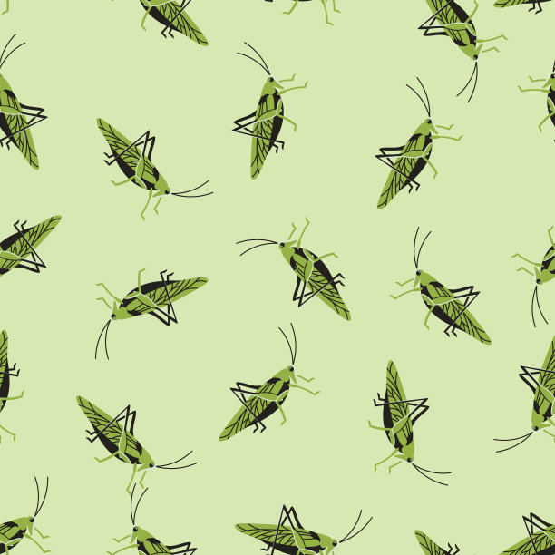 蚂蚱蝗虫矢量素材插画