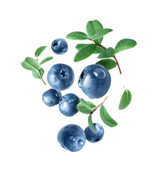 ericaceae